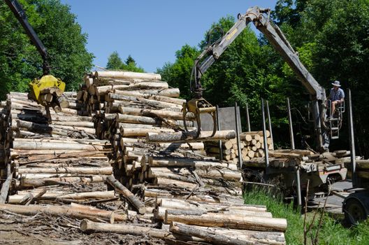 MOLETAI, LITHUANIA - CIRCA JUNE 2013 - Cranes loaders claw stack of timber logs at lumber processing mill yard circa June 2013 in Moletai.