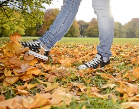legs playing with autumn leaves