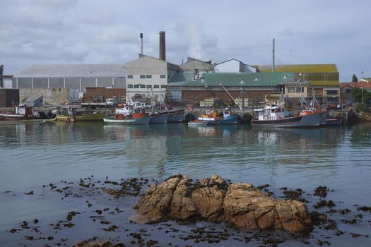 Fishing boats tied up alongside at the fishing port of Lamberts Bay in the Western Cape of South Africa