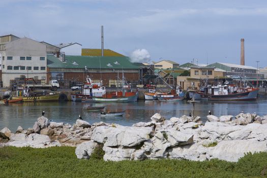Fishing boats tied up alongside at the fishing port of Lamberts Bay in the Western Cape of South Africa