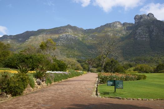 Kirstenbosch National Botanical Gardens in Cape Town, South Africa