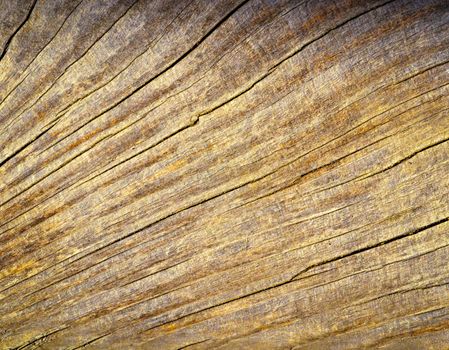 background abstract hand fans cracks on old wood