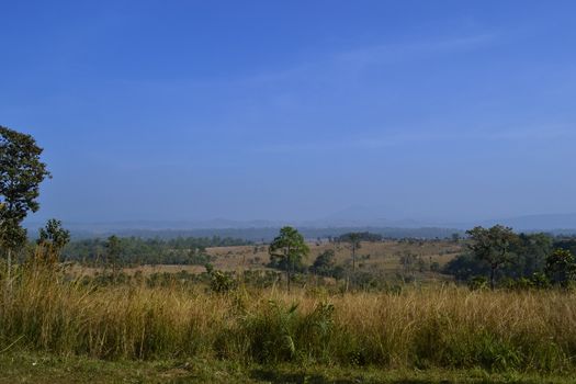 Savanna landscape and its flora in Thailand, Phetchabun, Salangluang Nationalpark.