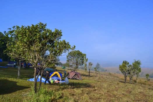Camping in Savanna landscape and its flora in Thailand, Phetchabun, Salangluang Nationalpark.