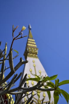 Frangipani and Pagoda at Wat Lat Pu Song Tum Phrathat Satcha