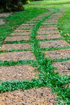 old stone (laterite) footpath on green grass