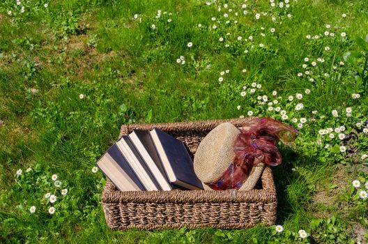 Wicker basket full of books between lawn and daisy flowers and retro hat.