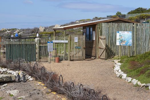 Entrance to the African Penguin colony in the Western Cape of South Africa