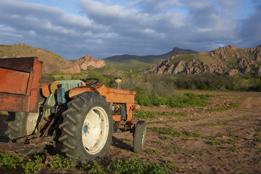 Old tractor on a farm in the Oudtshoorn region of the Western Cape in South Africa
