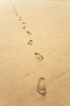 Footsteps on a sandy beach