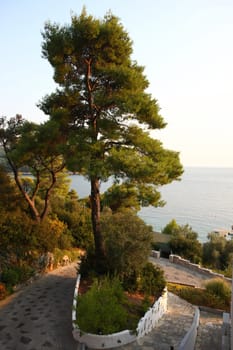 View from terrace,Adrina beach,Skopelos,Greece