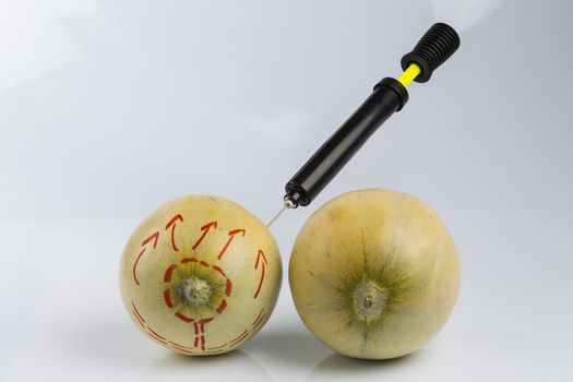 Cosmetic treatment  for Female breasts metaphor: melons air pumped  by bicycle pump meaning cosmetic and health treatment