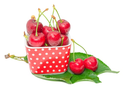 Ripe sweet and juicy cherry tasty berry wet fruits with water drops in small square bowl on fresh green leaves isolated