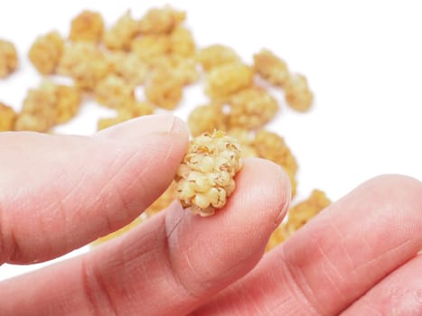 Male person holding up a dried mulberry, mulberries in the background