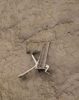 shopping cart dumped in mud at side of river