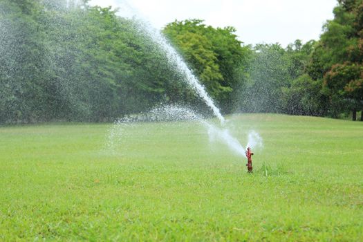 Water sprinkler