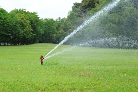 Water sprinkler