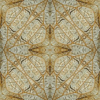 Macro closeup of butterfly wing background pattern