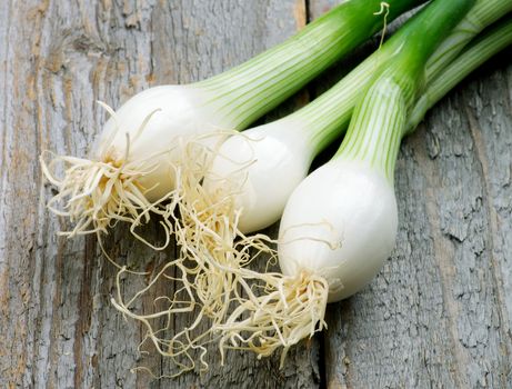 Bunch of Three Spring Onion Bulbs isolated on Rustic Wooden background