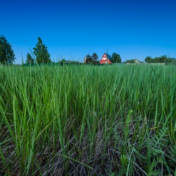 Red Country House and Deep Green Grass at Twilight, Moscow Region, Russia