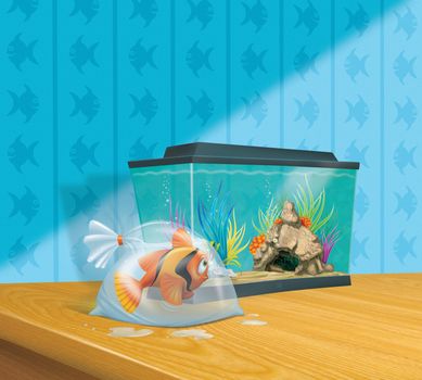 Cute striped goldfish in a plastic bag waiting to swim into a colorful aquarium.