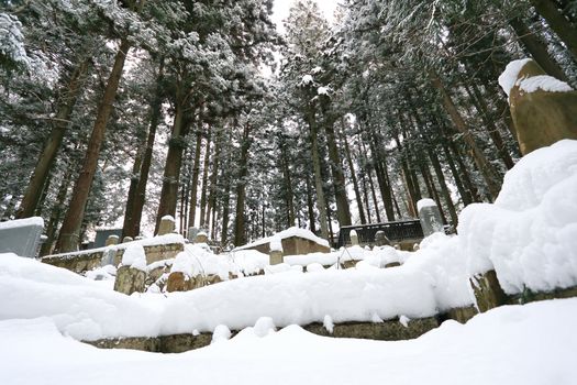 Beautiful Winter forest (Japanese cemetery)