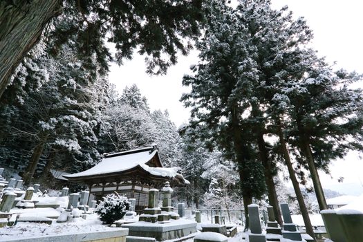 Beautiful Winter forest (Japanese cemetery)