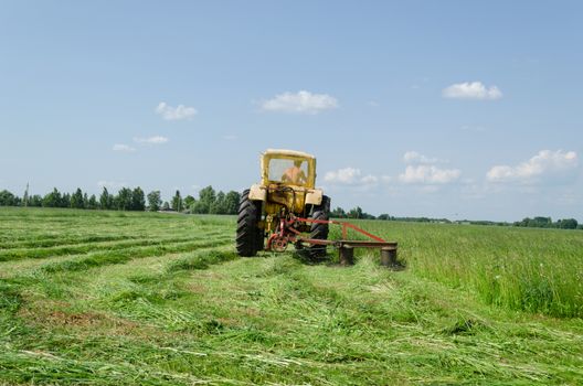 tractor makes sharp turn in the meadow and leaves evenly cut grass tufts