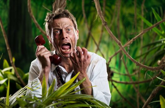 Angry businessman lost in jungle screaming at the phone.