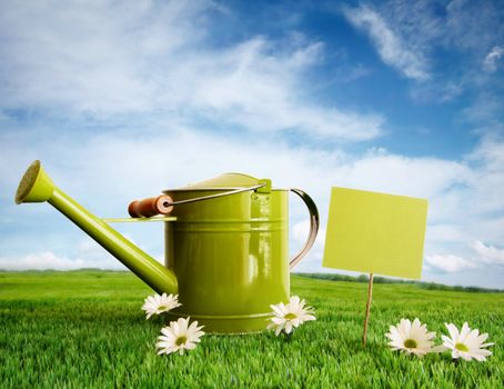 Watering can with daisies against a summer sky 