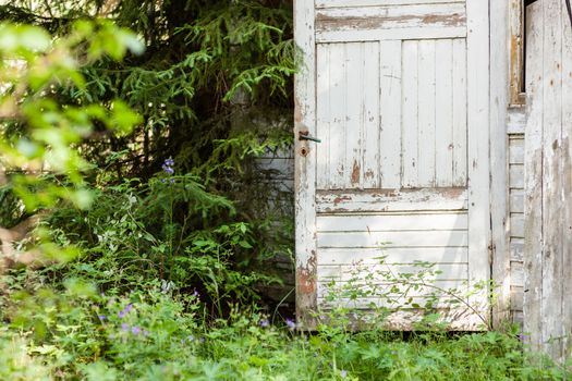 Open door of abandoned wooden house in the forest