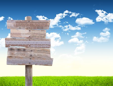 Road sign in green grass field over blue sky background