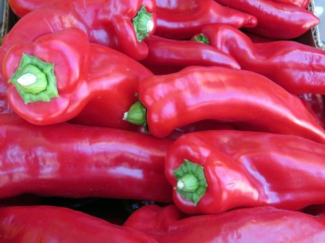 fresh hot red peppers