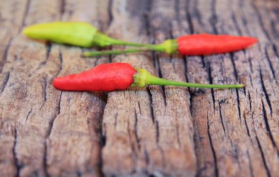 Hot chili pepper on old wooden background