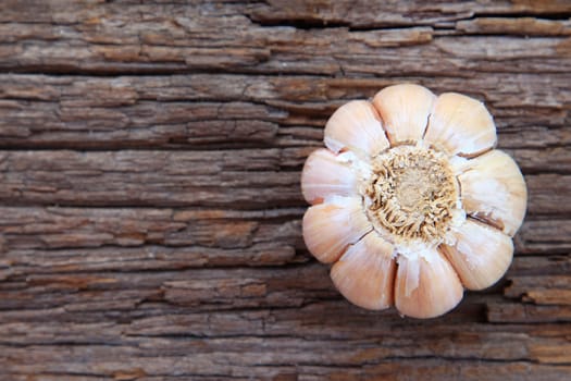 Garlic whole on the wooden background