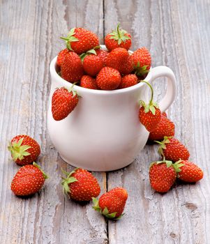 Fresh Ripe Forest Strawberries in Tea Cup isolated on Rustic Wooden background
