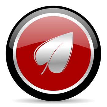 red glossy web button on white background