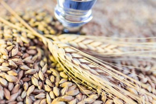 Detail shot of two ears of wheat laid on a wooden table covered in malt grains with the stem of a beer glass on the background.
