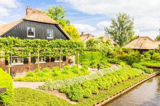 Typical Dutch houses and gardens in Giethoorn, The Netherlands