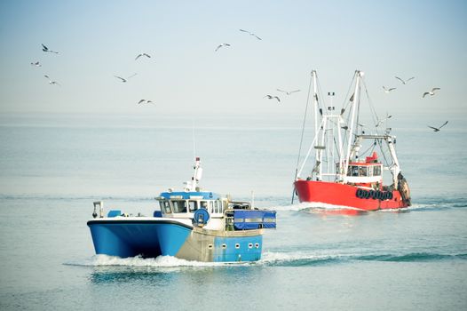 fishing trawlers returning to port on a hazy day surrounded by seagulls