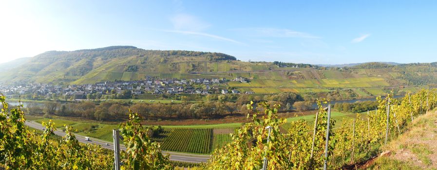 Panorama Reil an der Mosel im Herbst
