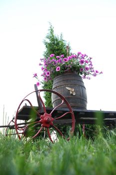 Composition of old wooden cart and flowers planted in old vat