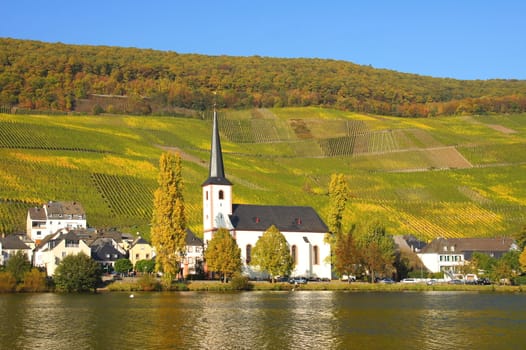 Alt-Piesport an der Mosel im Herbst
