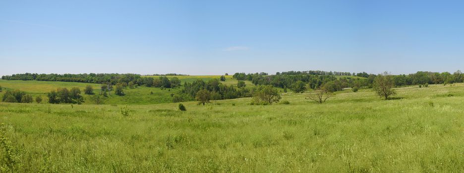 trees and clearings in the hills clear summer day 