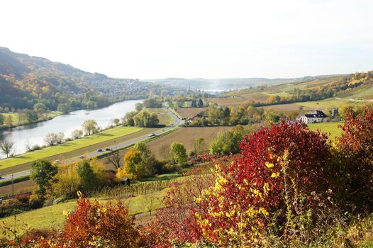 Landschaft bei Trier Igel und Oberbillig im Herbst
