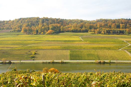 Grenzfluss Mosel bei Ahn in Luxemburg