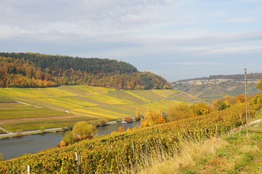 Obermosel bei Nittel im Herbst
