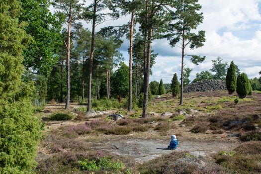 Baby sitting in a swedish forest with heathland landscape