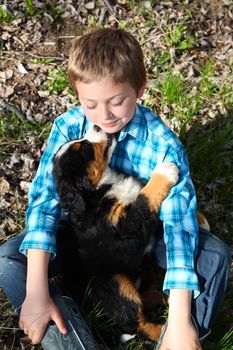 Young boy with his Bernese Mountain Dog puppy 
