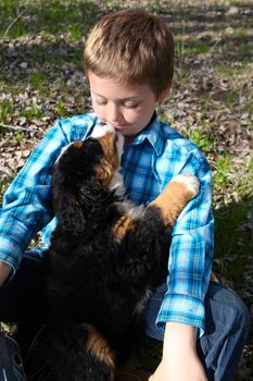 Young boy with his Bernese Mountain Dog puppy 